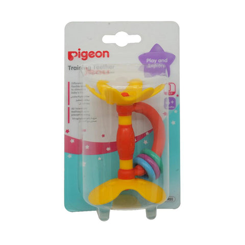 Pigeon Training Teether Step 1 (4+ Months)