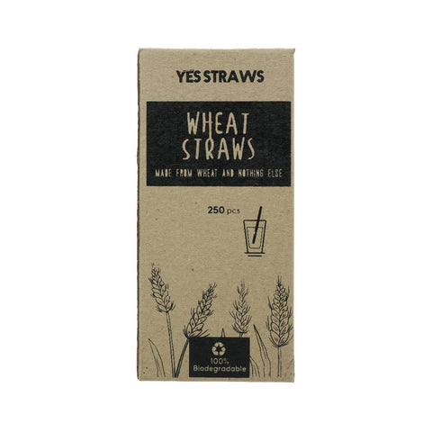Eco-Friendly Wheat Drinking Straws Small 250 Pieces